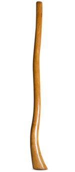Gloss Finish Flared Didgeridoo (TW1189)